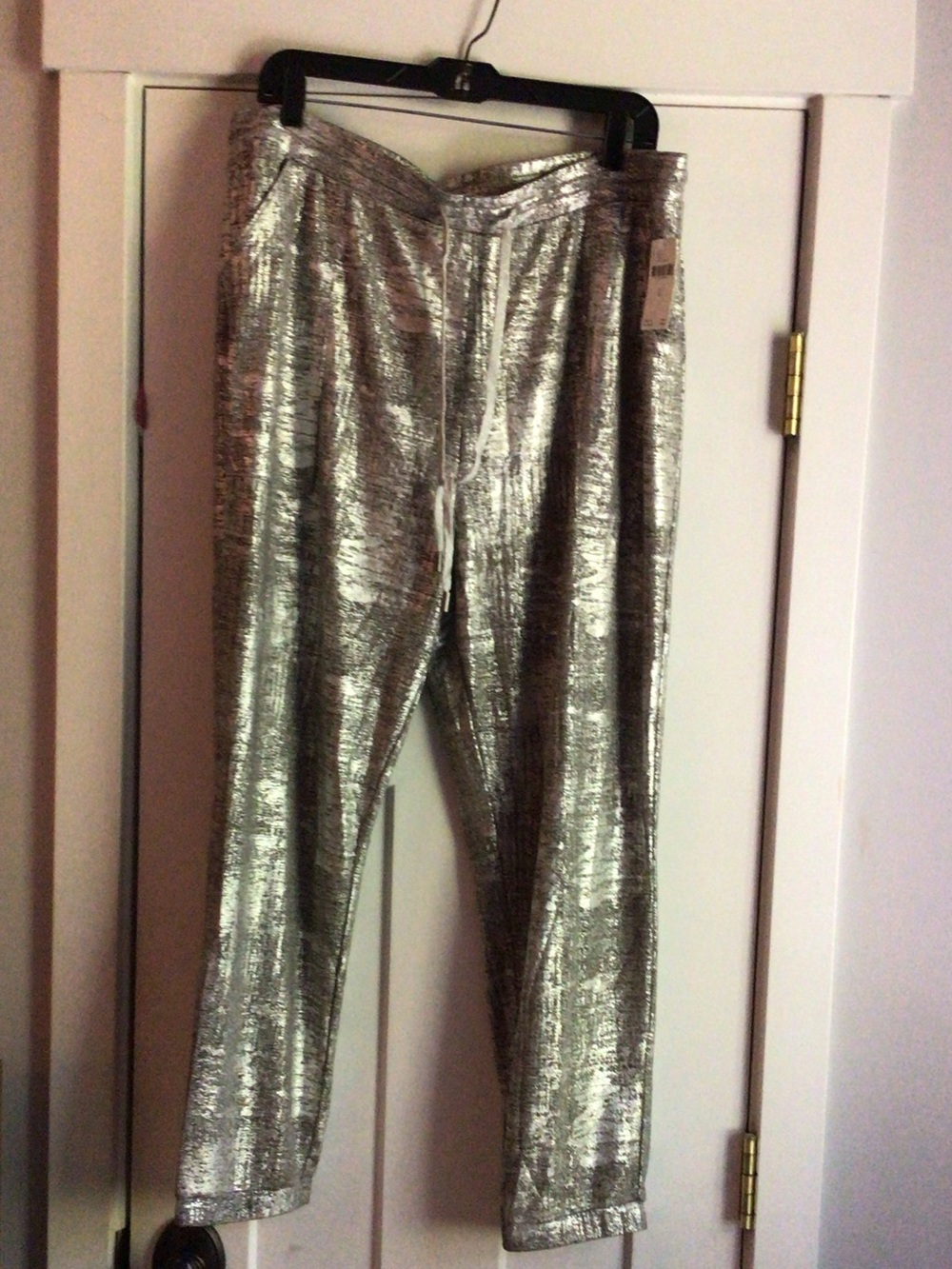 NWT Anthropologie Metallic Silver Women's Jogger Pants